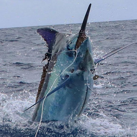 xtreme sport fishing vanuatu